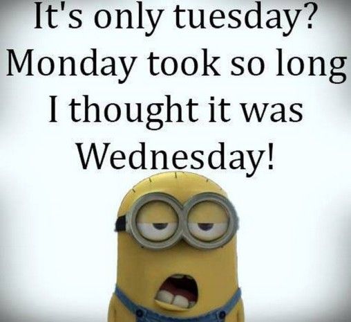 minion sayings minions quotes