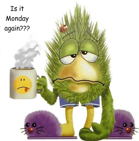Mymonday 1