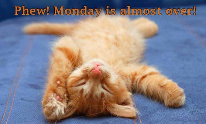Mymonday 16