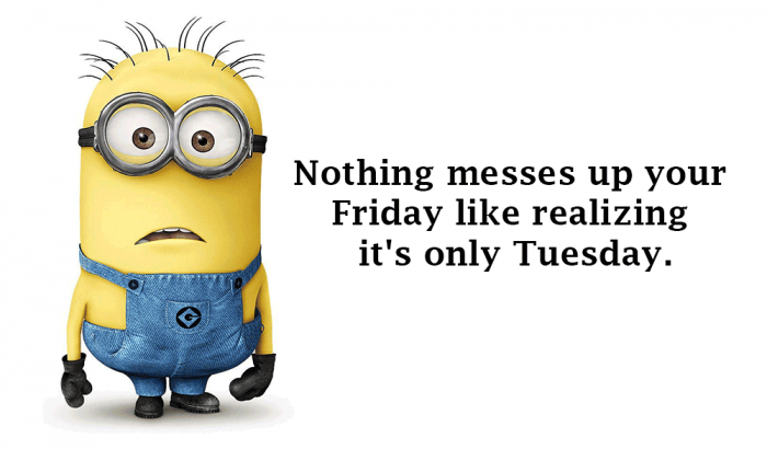 Mymonday 16