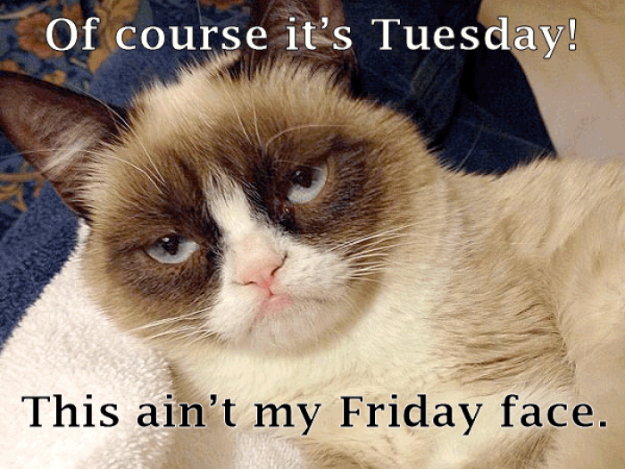Mymonday 17