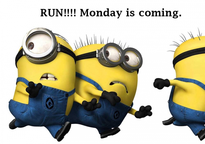 Mymonday 24