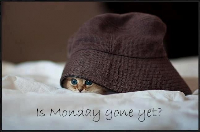 Mymonday 27