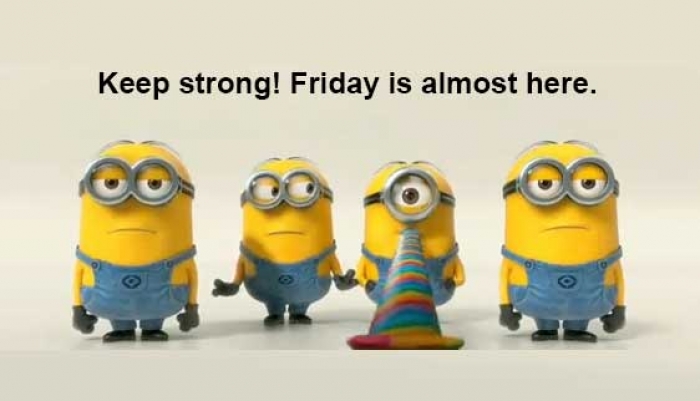 Mymonday 29