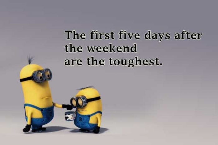 Mymonday 31