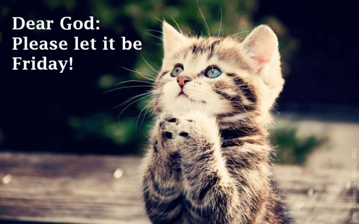 Mymonday 32