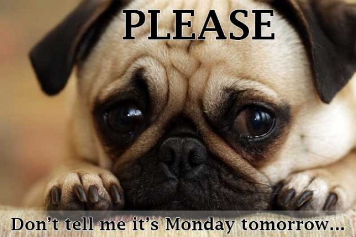 Mymonday 35