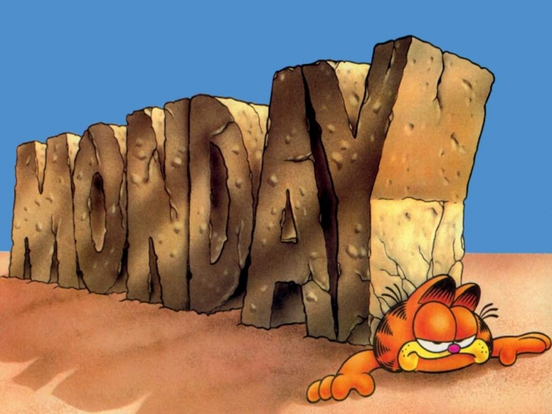 Mymonday 4