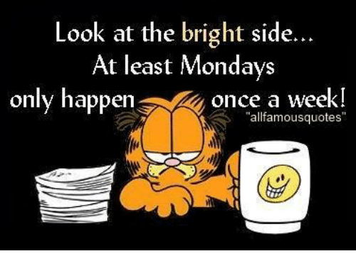 Mymonday 9